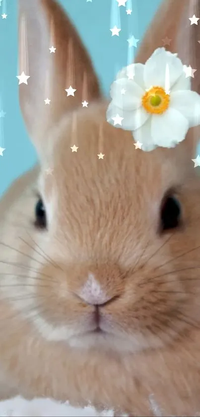 Cute bunny with flower and starry background.