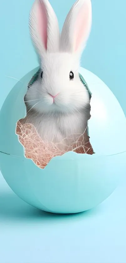 Cute bunny inside a pastel blue eggshell on a light blue background.