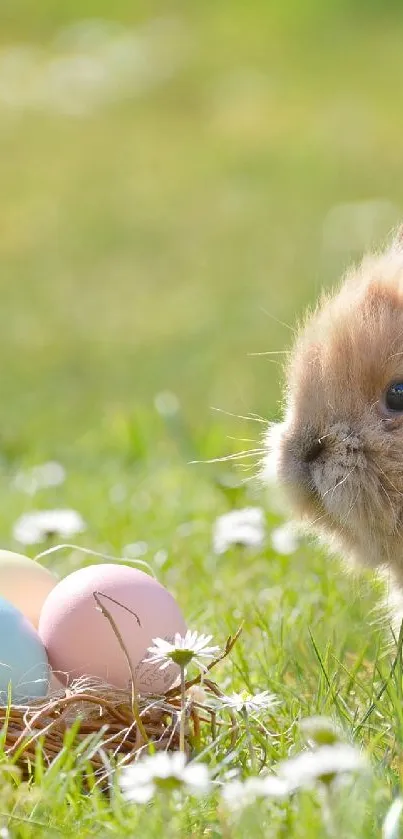 Cute fluffy bunny with Easter eggs in a green spring meadow.