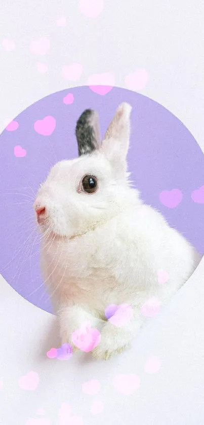 Adorable white bunny with lavender background mobile wallpaper.