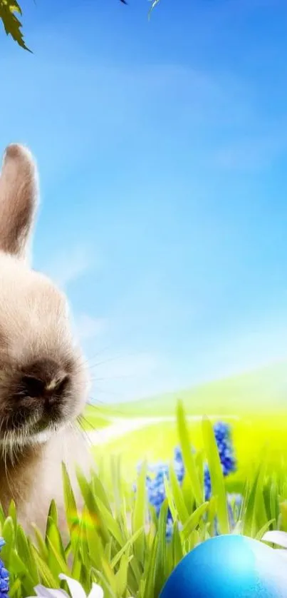 Cute bunny in a bright spring landscape with flowers.