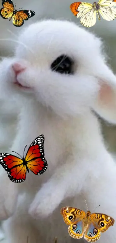 White bunny with colorful butterflies around.