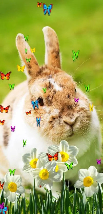 Cute bunny among daffodils on green grass.