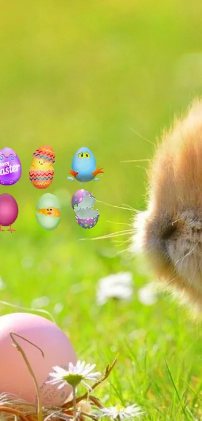 Fluffy bunny with colorful Easter eggs on green meadow background.