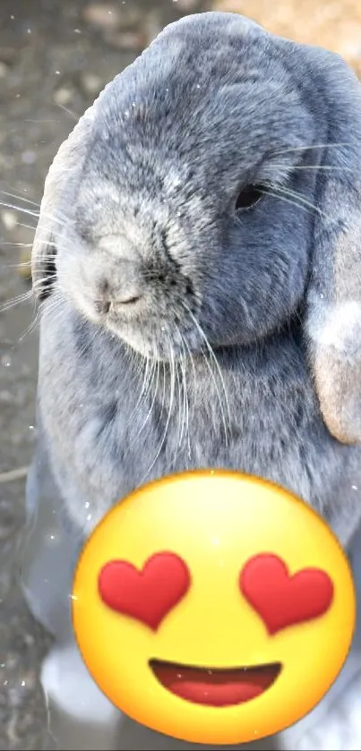 Cute bunny with heart-eye emoji on a phone wallpaper.