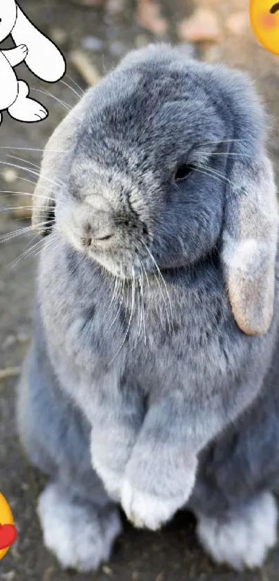 Cute grey bunny with colorful emojis on a natural backdrop.