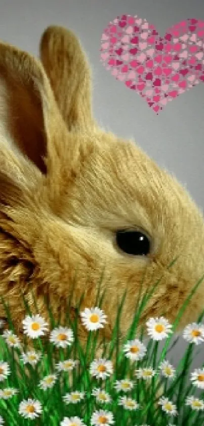 Cute brown bunny with daisy flowers and a pink heart in the background.