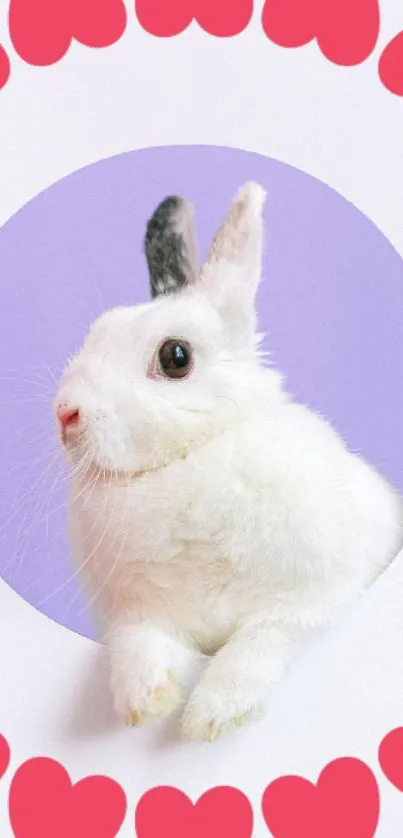 Cute white bunny with heart frame on lavender background.