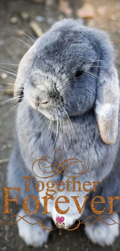 Cute grey bunny with 'Together Forever' message on mobile wallpaper.