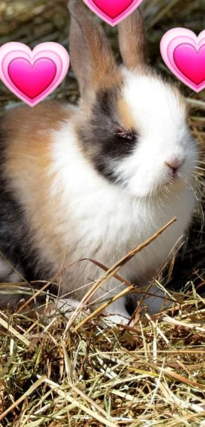 Cute bunny with pink hearts in nature scene.