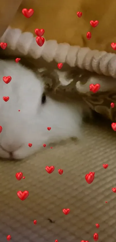 Cute bunny under a blanket with red hearts design.