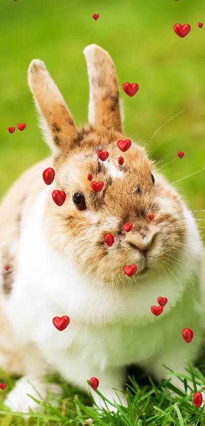 Cute bunny with red hearts in a green grassy setting.