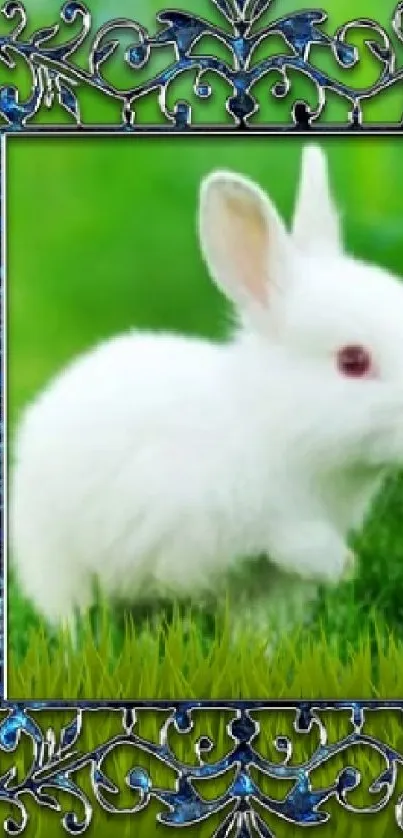 White bunny in ornate frame on green field background.