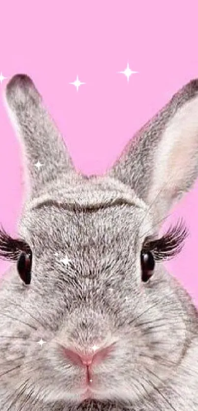 Gray bunny with long eyelashes on a pink background.