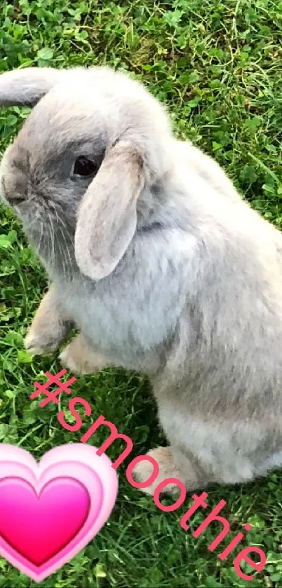 Cute bunny on grass with pink heart emoji and hashtag.