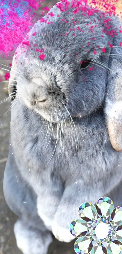 Gray bunny with vibrant pink and geometric design on mobile wallpaper.