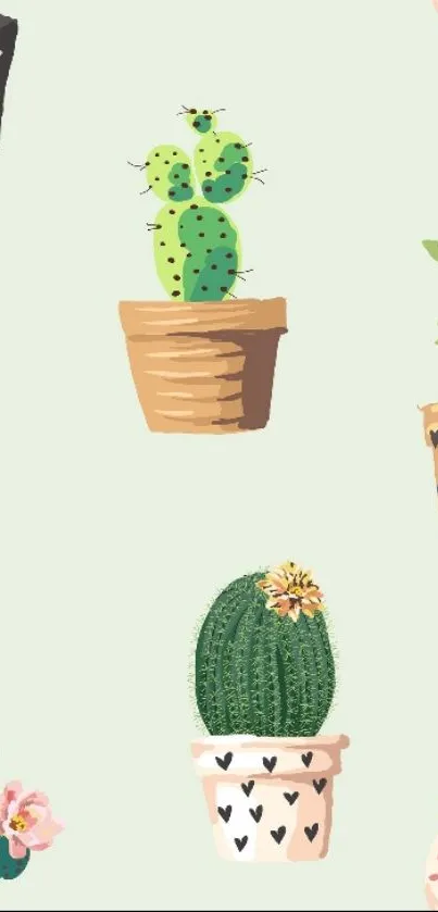 Illustrated cactus wallpaper with potted plants on a mint green background.