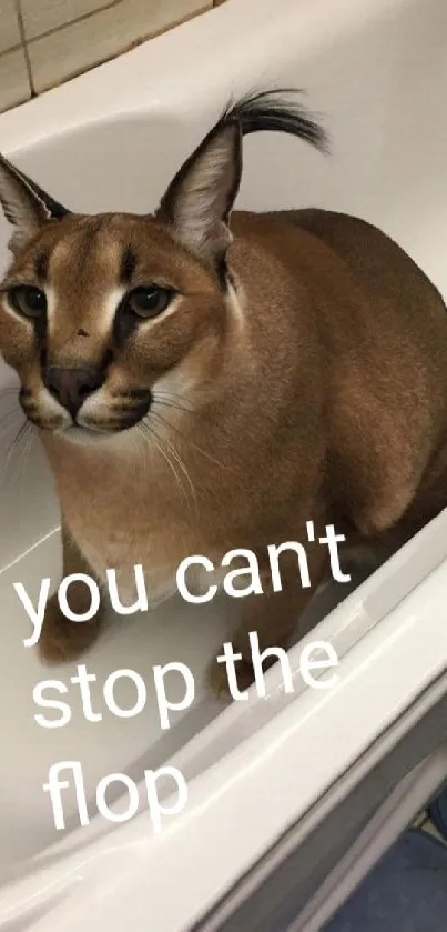 Caracal lounging in a bathtub with a humorous caption, mobile wallpaper.