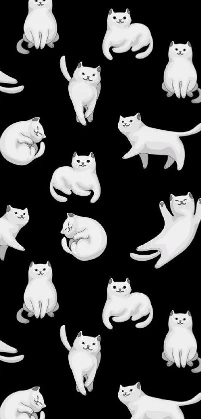 Cute white cartoon cats on a black wallpaper pattern.