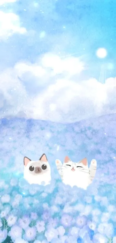 Two cute cartoon cats in a blue flower field under a bright sky.