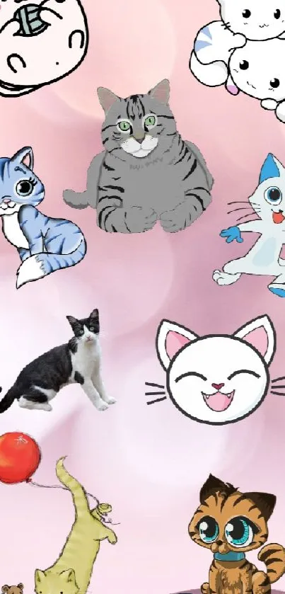 Mobile wallpaper with cute cartoon cats on a pink background.