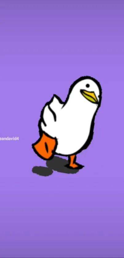 Cute cartoon duck with orange feet on purple background wallpaper.