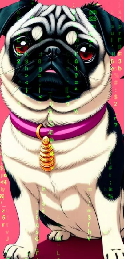 Adorable cartoon pug on a pink background wearing a purple collar.