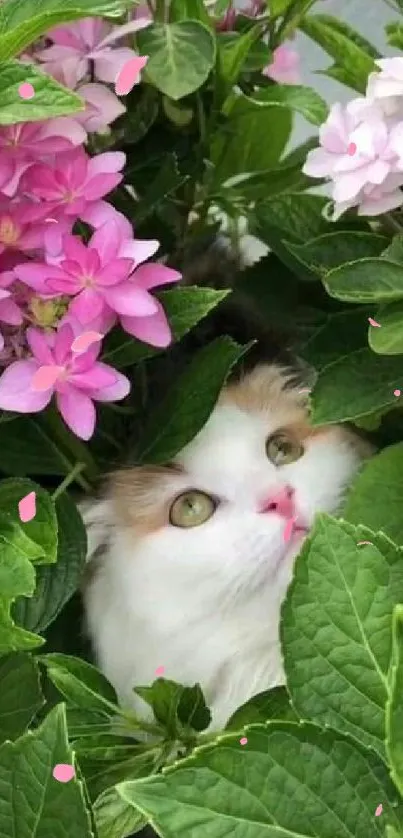 White cat peeking through pink flowers and green leaves.