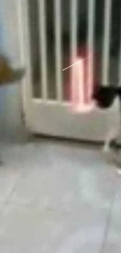 A cat and a dog interact playfully at home, creating a cute scene.