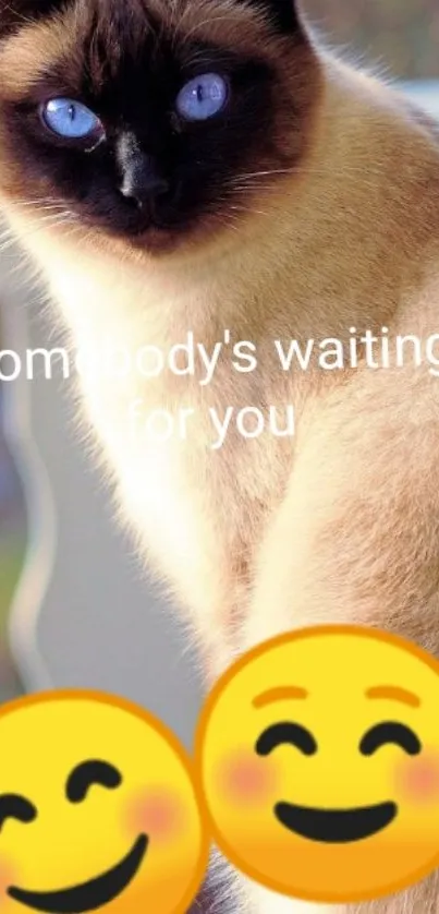 Siamese cat with emojis and text 'somebody's waiting for you'.