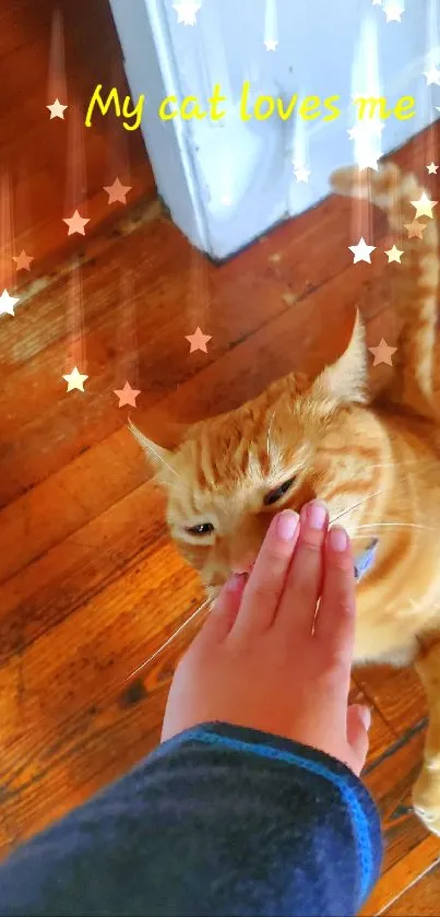 Orange cat interacting with a human hand on a wooden floor.