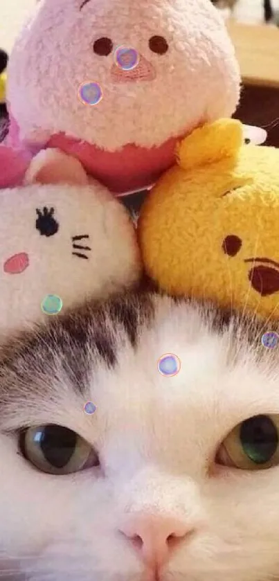 Cute cat with plush toys on head, creating a cozy and adorable mobile wallpaper.