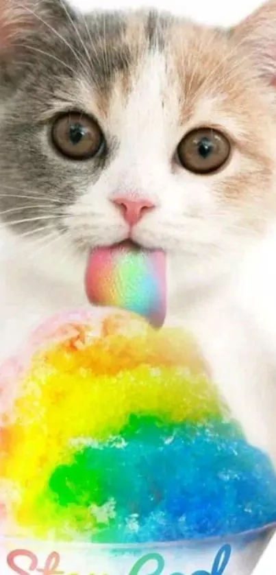 Cute kitten licking rainbow ice with 'Stay Cool' text.