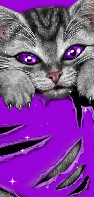 Vibrant purple wallpaper with a cute cat design.