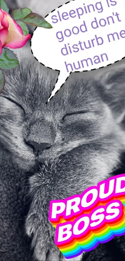 Adorable sleeping cat with 'Proud Boss' text on cozy mobile wallpaper.