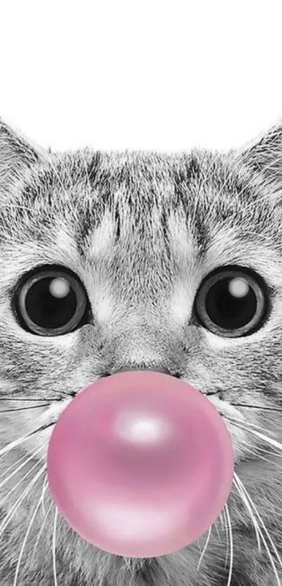 Monochrome cat with pink bubblegum on white background.