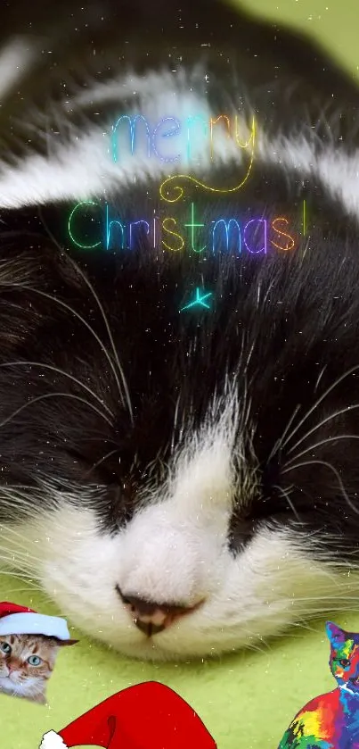 Sleeping black and white cat with Christmas text on green background.