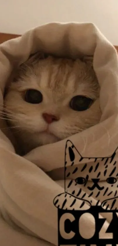 Cute cat wrapped in cozy beige blanket with cozy time text.