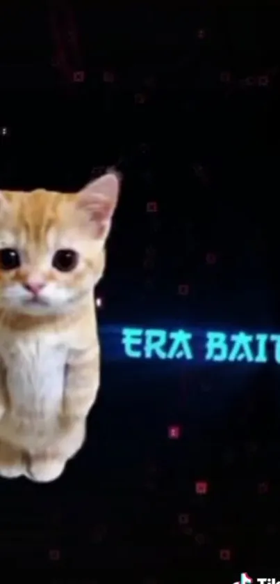 Cute orange kitten with blue text on a dark background.