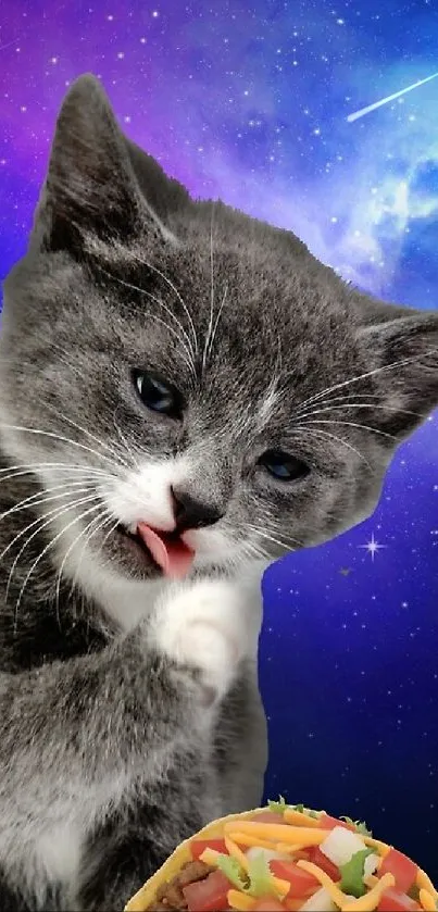 Gray kitten licking paw with taco in galaxy background.