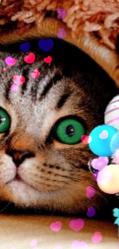 Cute cat with green eyes and colorful hearts and balloons.