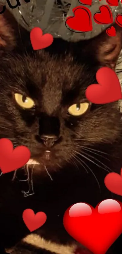 Cute black cat with red hearts wallpaper.