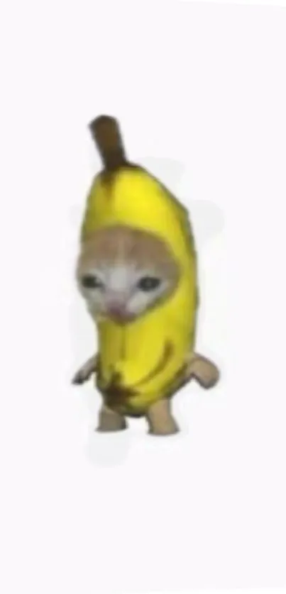 Cute cat dressed in a banana costume on a white background.