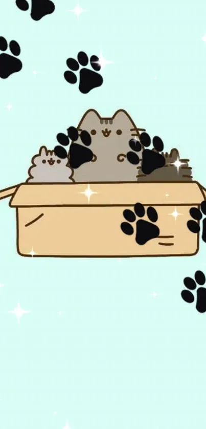 Cute Cat in Box Wallpaper - free download