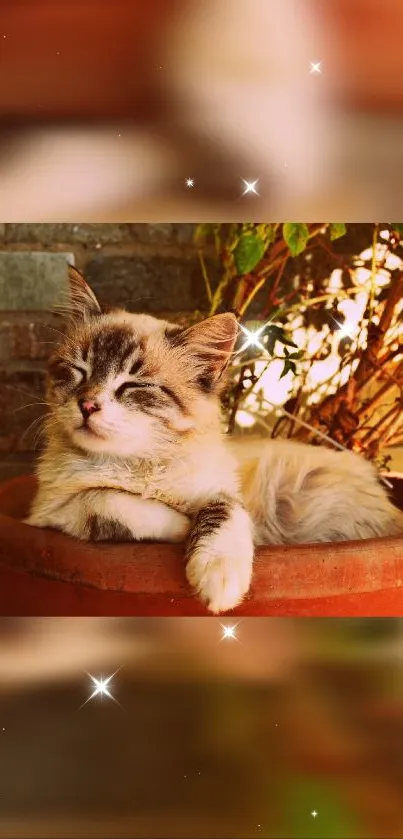 Adorable kitten relaxing in a flower pot surrounded by nature.