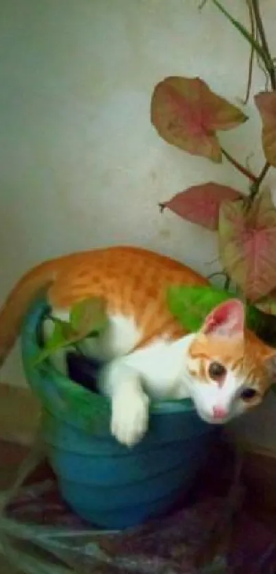 Orange and white cat inside a blue flower pot with green leaves.