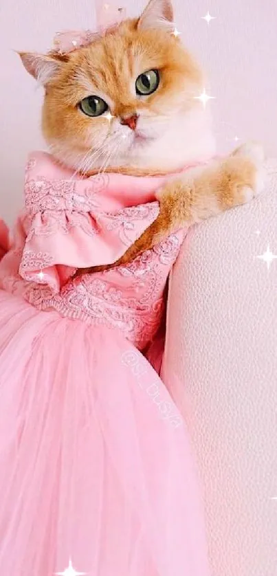 Adorable cat in pink dress leaning on sofa, perfect for a cute mobile wallpaper.