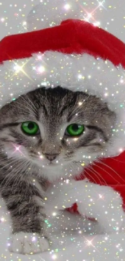 Cute kitten in a Santa hat with sparkles.