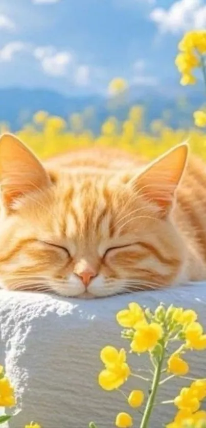 Ginger cat napping in a sunlit flower field.