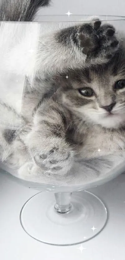 Cute gray kitten curled in a wine glass, playful and adorable.